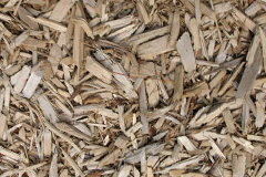 biomass boilers Trethomas